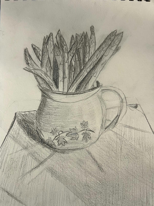 Asparagus Drawing