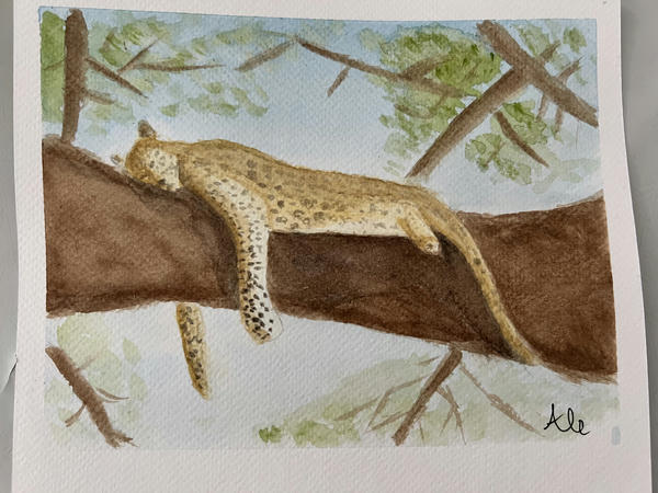 Leopard in watercolor