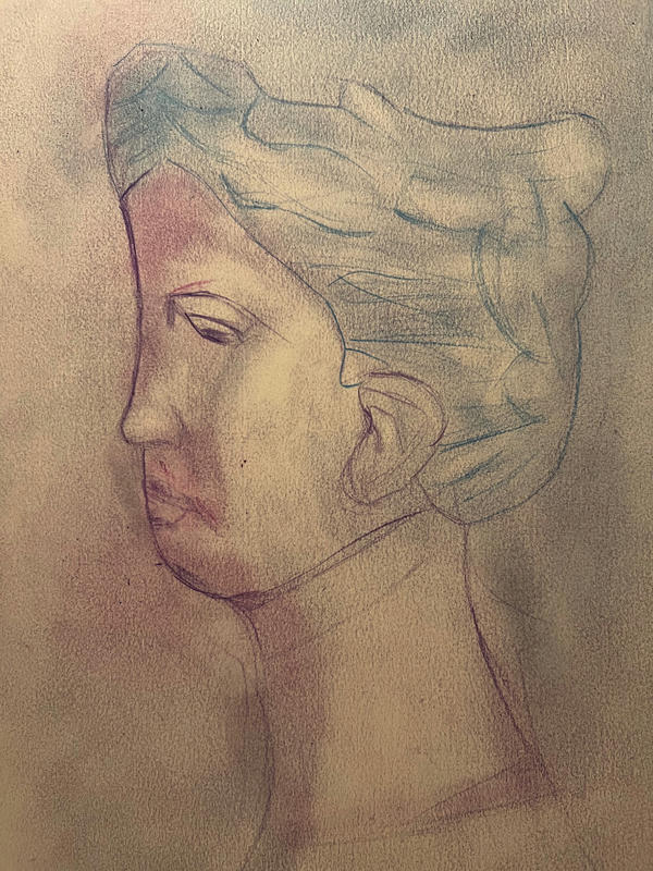 Statue Head Drawing